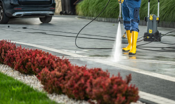 Best Window and Screen Pressure Cleaning in Irvine, KY